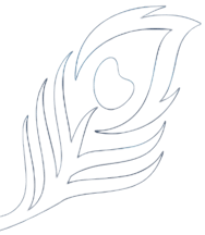 Peacock Feather