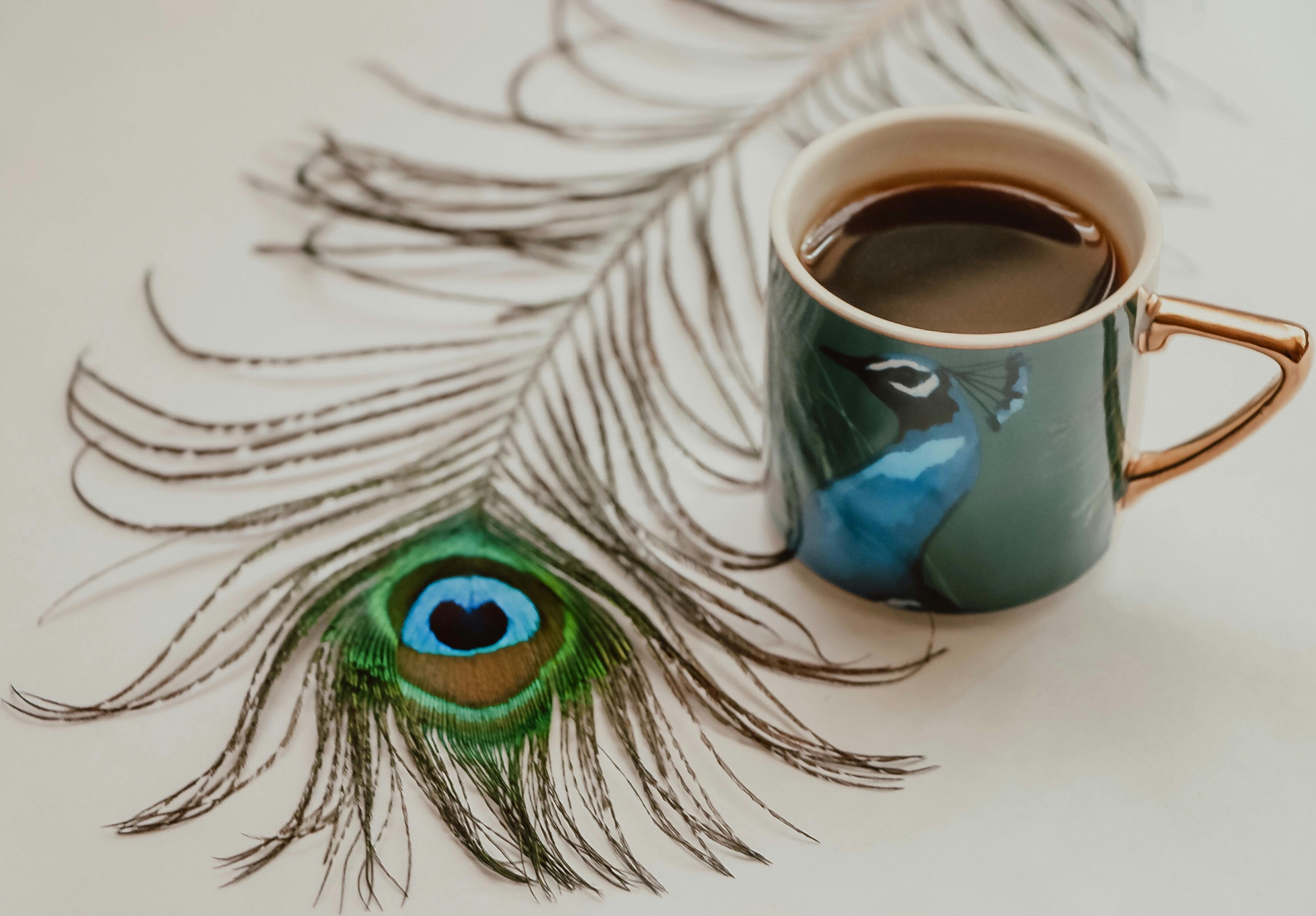 COMMUNICATIONS STRATEGY